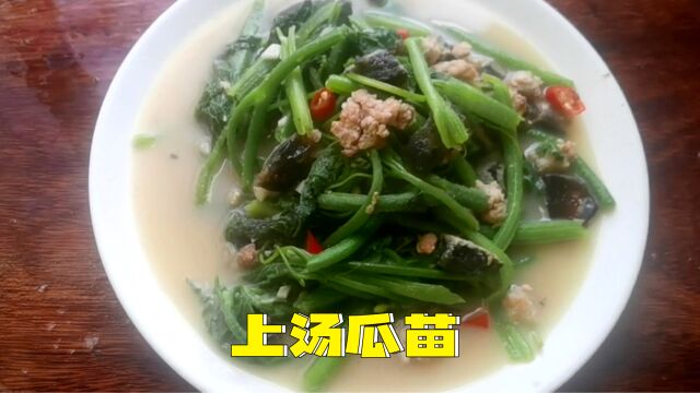 广州美食家常菜上汤瓜苗,制作简单易学快手,清淡可口又不失鲜美