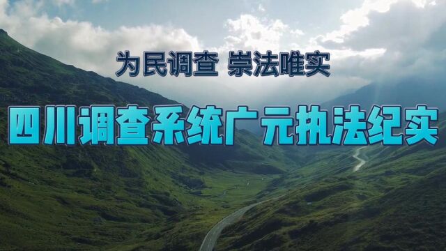 四川调查系统广元执法纪实