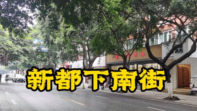 成都市新都下南街,婆媳兔丁是40年老牌子,肖婆婆春卷已没做了?