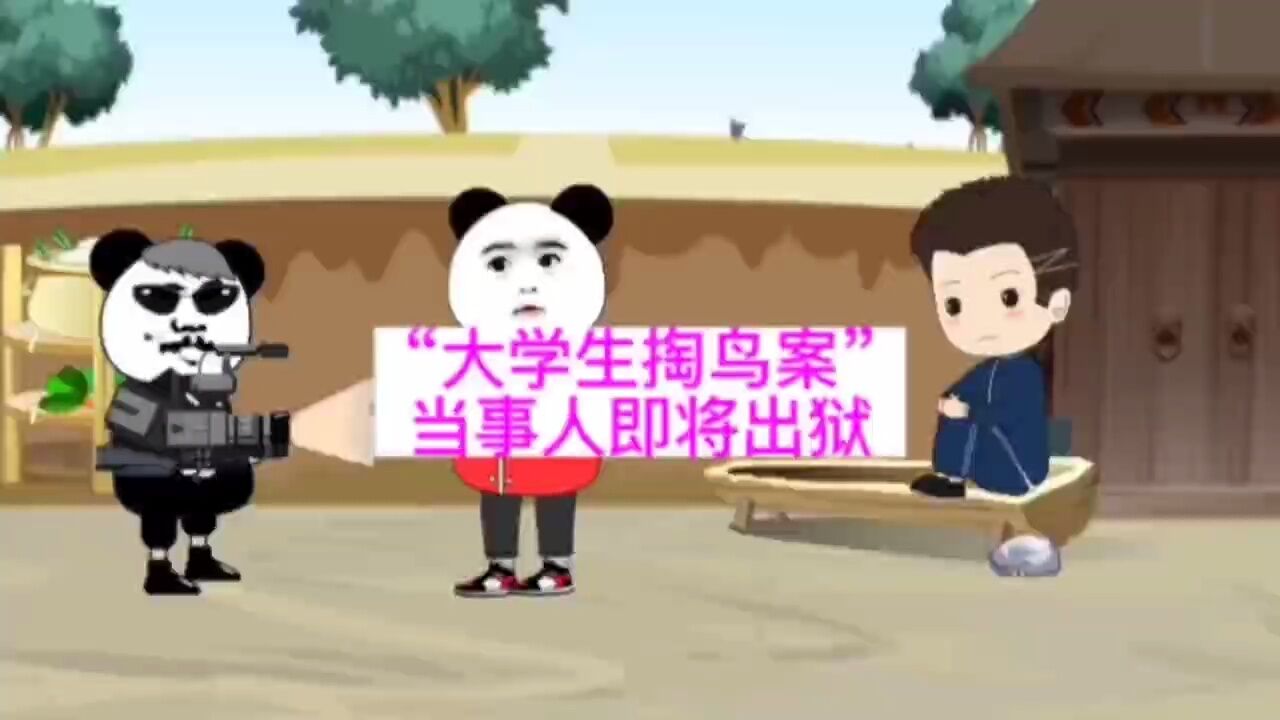 大学生掏鸟案,当事人即将出狱_高清1080P在线观看平台_腾讯视频