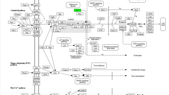 KEGG Pathway Map基因、化合物加颜色及pathview渲染演示