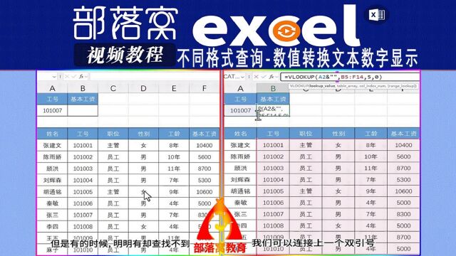 excel不同格式查询视频:数值转换文本数字显示