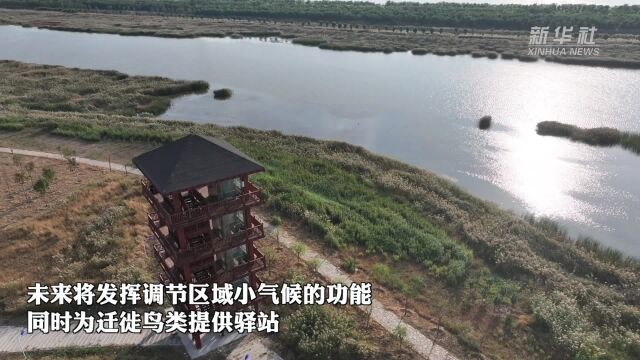 天津:河岸美如画 秋日引“客”来