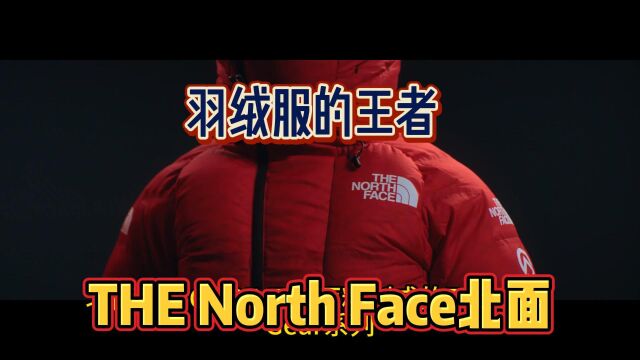 羽绒服的王者,The North Face北面