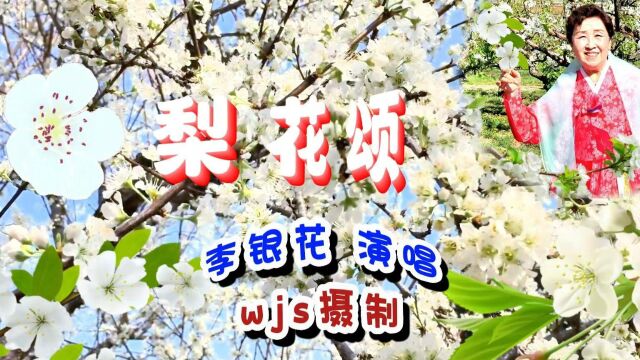 梨花颂李银花登上CCTV11中央电视舞台演唱的歌曲wjs摄制