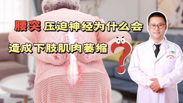 腰突压迫神经,为什么会造成下肢肌肉萎缩?听骨科燕大夫说