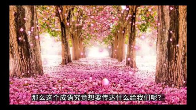 暗香疏影|一一学语