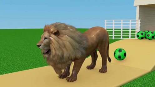 参加动物跑酷的小狗变成了大狮子丨益智启蒙丨颜色认知