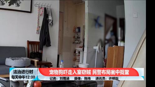 北京奇案：小偷被宠物狗吓走后，居然没有走远