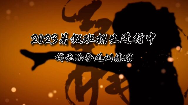 舟山市定海跆拳道暑假班招生活动进行中