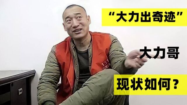 9年前,因一句”大力出奇迹“爆红网络的大力哥,后来怎么样了?