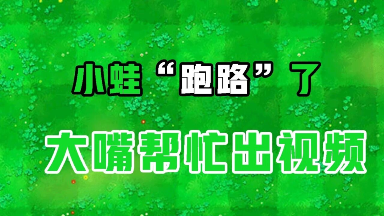 植物大战僵尸：小蛙“跑路”大嘴：懒鬼小蛙！_高清