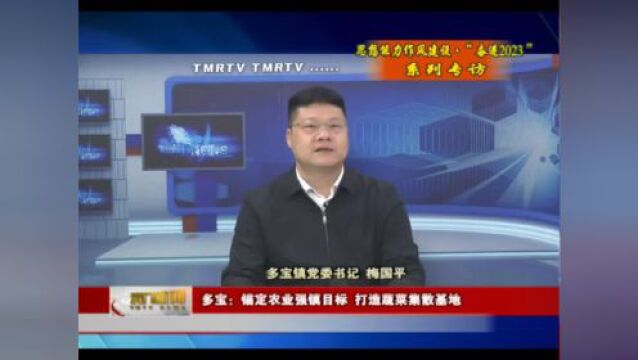 【专访】看天门市多宝镇如何打造蔬菜集散基地