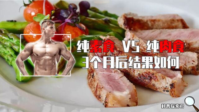 揭秘双胞胎减肥实验:一个只吃肉一个只吃素,3个月后会怎么样?