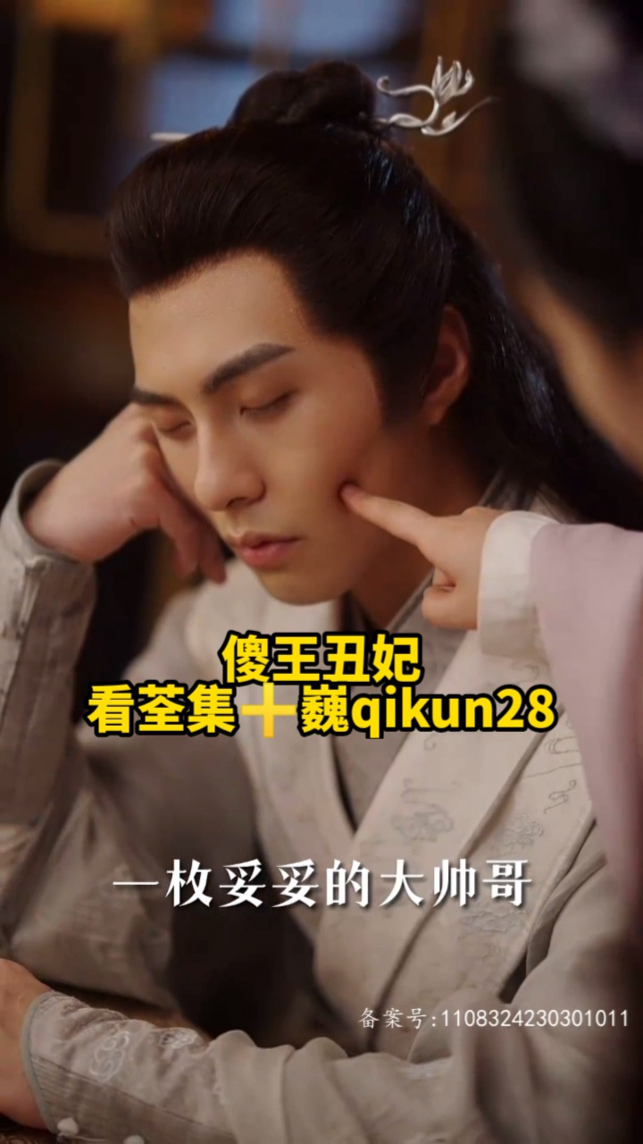 傻王丑妃免费全集