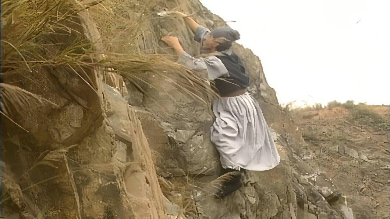 岳飞为救村民,不料被大石砸中,差点掉入山崖,幸好赖布衣助他一臂之力