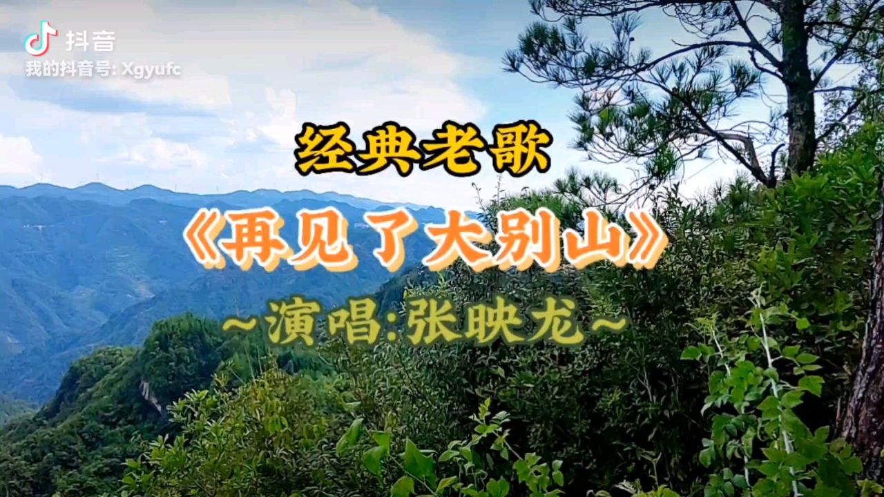 《再見了大別山》 演唱:張映龍