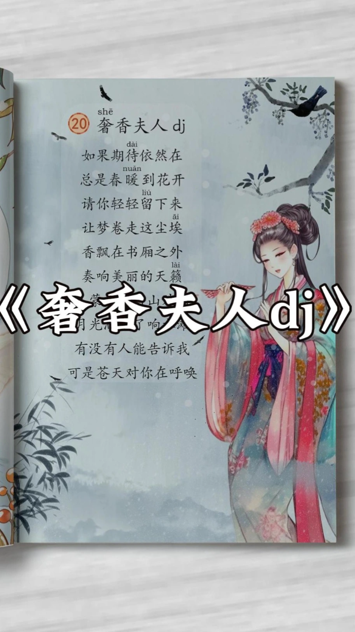 《奢香夫人dj》这首歌你有没有听过?