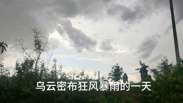 新疆某小镇乌云密布狂风暴雨的一天!