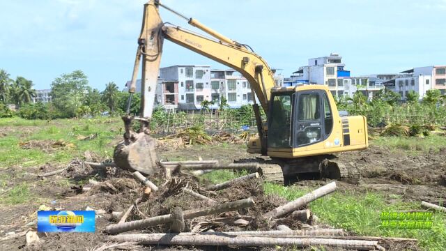 促进乡村振兴 共享发展成果丨万泉镇:分类施策守牢耕地红线 确保“良田粮用”