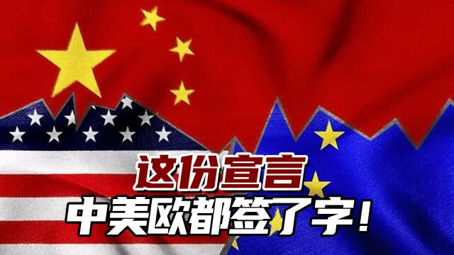 这份宣言,中美欧都签了字!她说中国出席“意义重大”