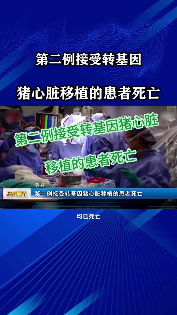 第二例转基因猪心脏移植的患者逝世!