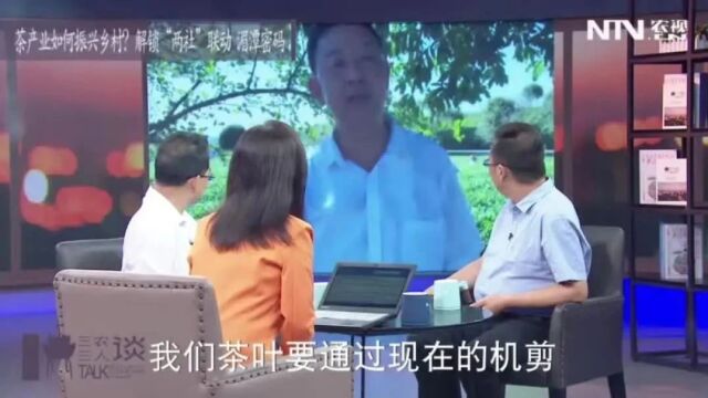 靠茶叶增收,年均产值65亿元!绿叶子是如何变成“金叶子”的?