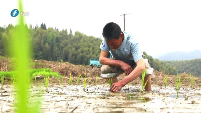 《福建新视野》走进南平市浦城县互赢生态水稻种植专业合作社