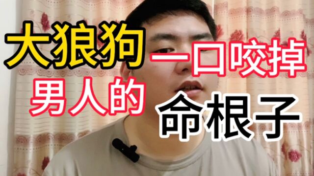 大狼狗一口咬掉男人的命根子