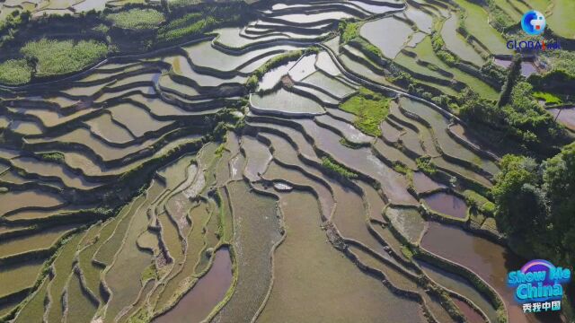 秀我中国 | 新时代中国乡村志(第四集):千年梯田 十年新生