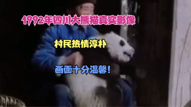 1992年四川大熊猫真实影像,村民热情淳朴,画面十分温馨!