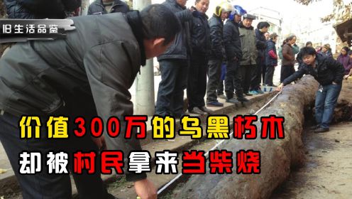 重庆发现乌黑朽木，专家估值300万，村民却拿来当柴烧