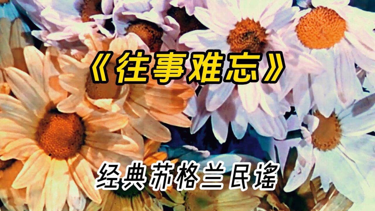 典的爱尔兰民谣《往事难忘》,时光流逝,与往事干杯