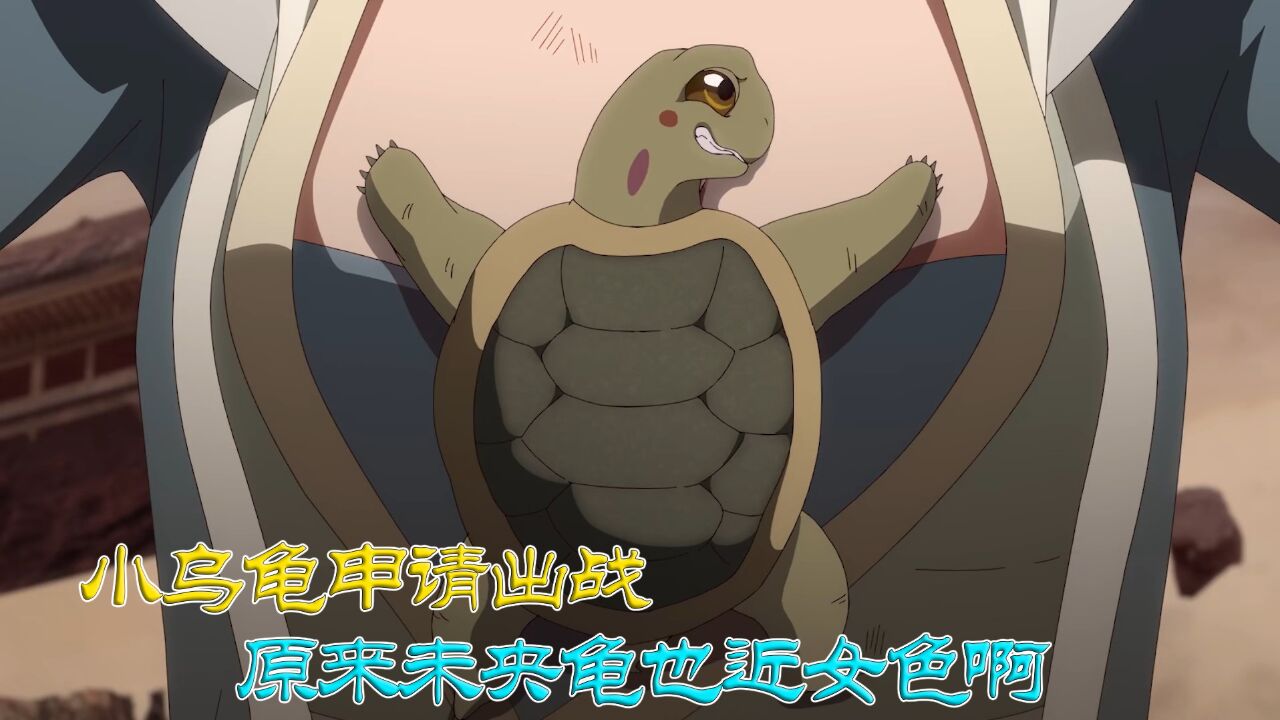 【一念永恒】小乌龟申请出战,原来未央龟也近女色啊.