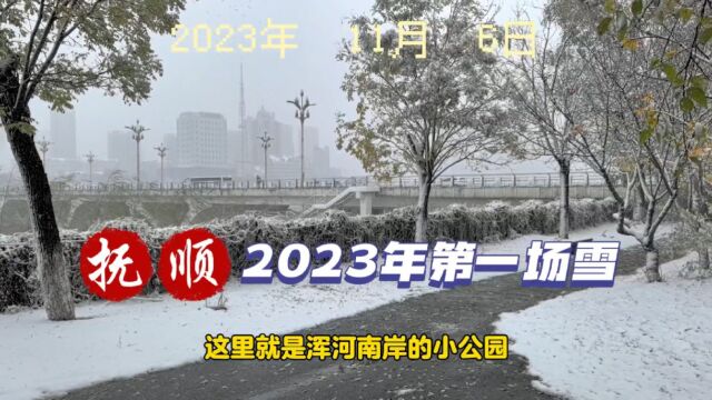 抚顺2023年第一场雪!记录生活感悟人生,分享白菜哥网名由来.