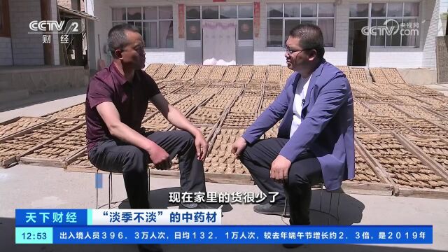 “淡季不淡”的中药材当归种植户不愿出货经销商不敢接单