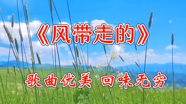 《风带走的》好舒服的声音,歌曲优美,淡淡思愁,这首歌太好听了,回味无穷;沁人心脾