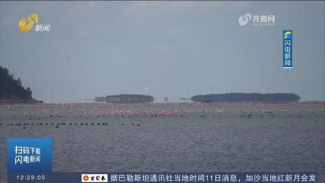 长岛海域再现海滋奇观,部分船只脱离海面“升空”,宛如仙境