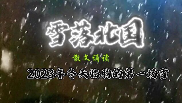 雪落北国