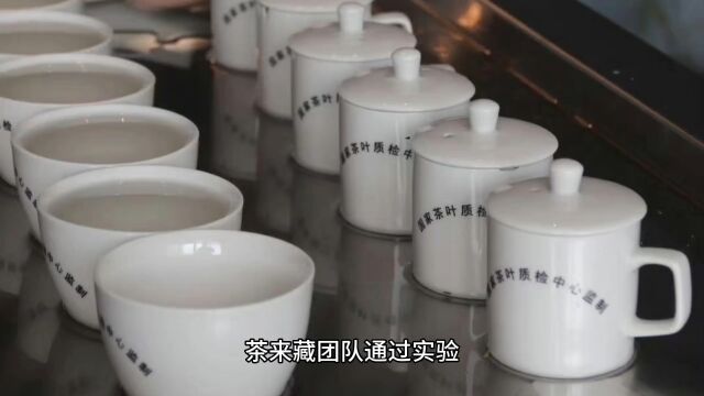 茶来藏团队通过数据分析“老白茶酮”EPSF化合物的形成机理