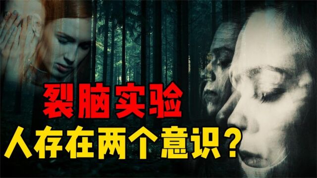 分割左右脑会发生什么?诡异的裂脑实验,大脑中存在两个意识?