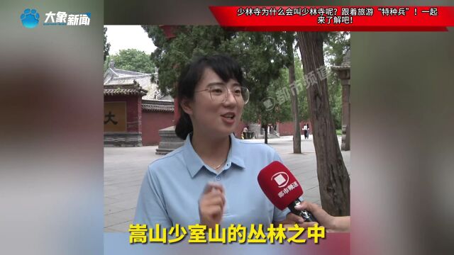 少林寺为什么会叫少林寺呢?跟着旅游“特种兵”!一起来了解吧!