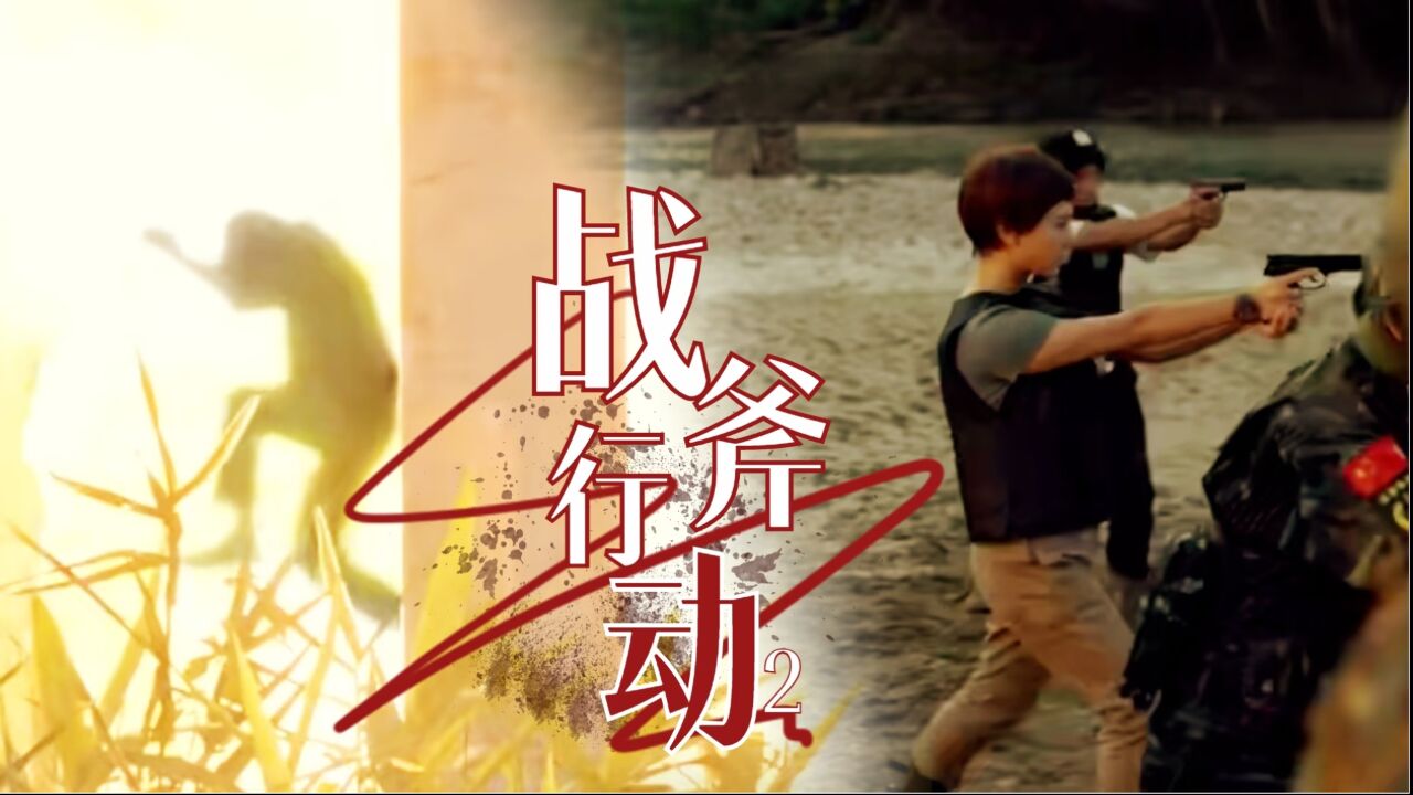 《战斧行动2喋血》戴向宇命运纷争,血与荣耀的交织之战