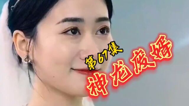 神龙废婿第六十七集