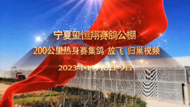 宁夏玺恒翔赛鸽公棚200公里热身赛集鸽、放飞、归巢视频