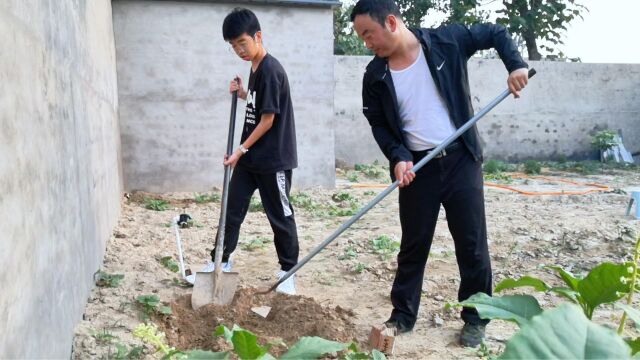 老家小院,养花种菜,田园生活