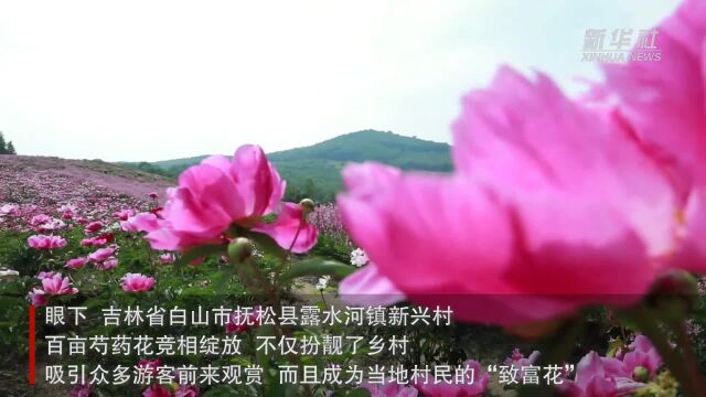 吉林抚松:发展农旅融合 助力乡村振兴