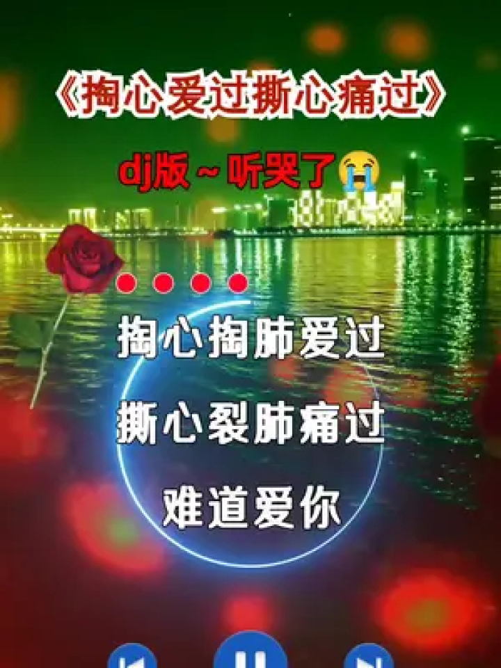 掏心爱过撕心痛过#dj版#伤感音乐