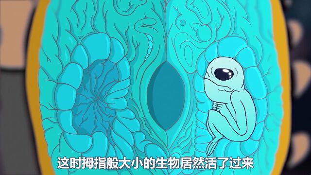 一部脑洞大开的动画科幻短片《星际拾荒者》