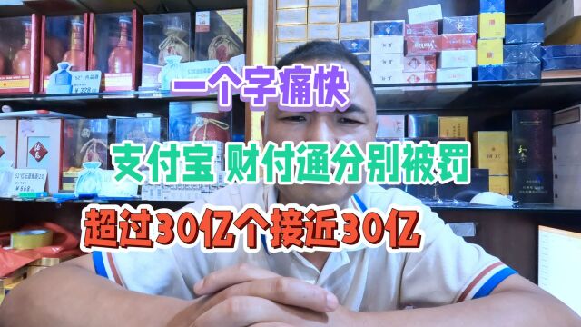 支付宝、财付通分别被罚超30亿和接近30:让你关我网商贷额度!